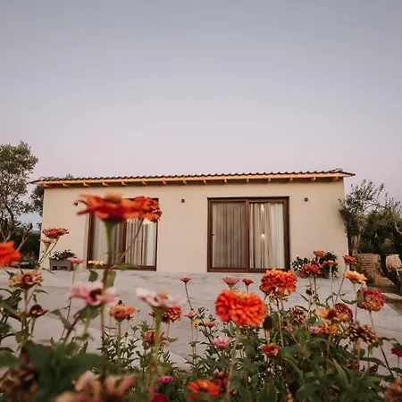 Villa Aiora *