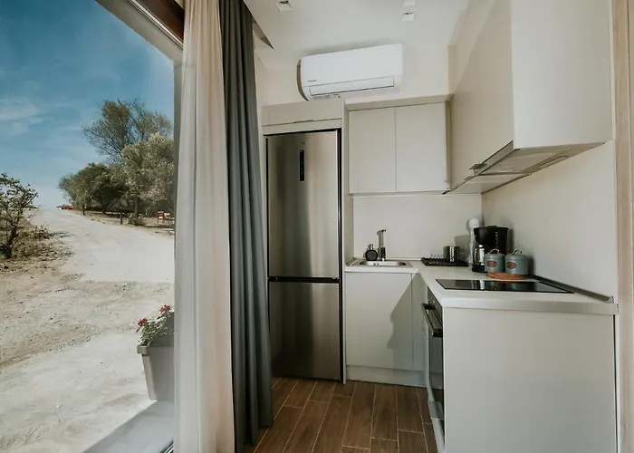 Aiora 阿莫利亚尼岛